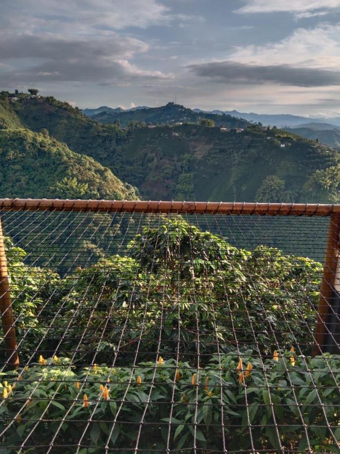 Atardeceres Del Cafe Hotel Manizales Ngoại thất bức ảnh